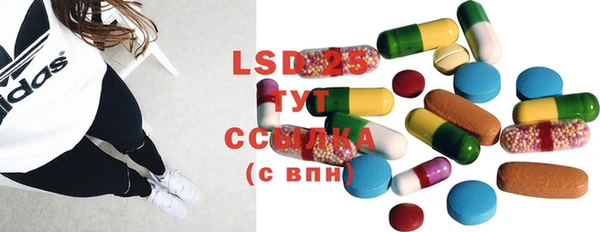 PSILOCYBIN Покачи