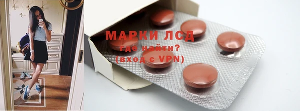 PSILOCYBIN Покачи