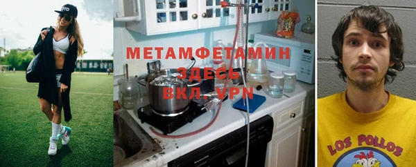 PSILOCYBIN Покачи