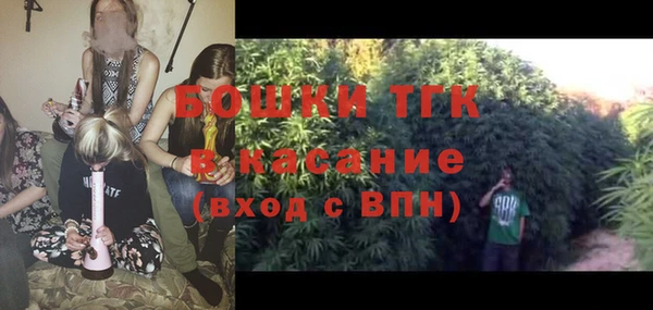PSILOCYBIN Покачи