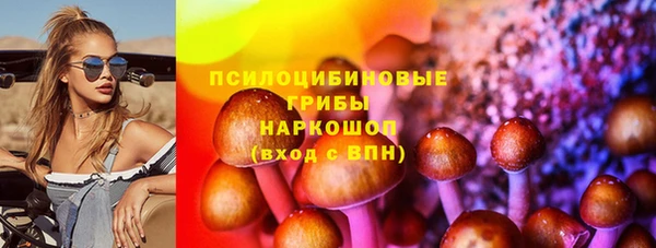 PSILOCYBIN Покачи
