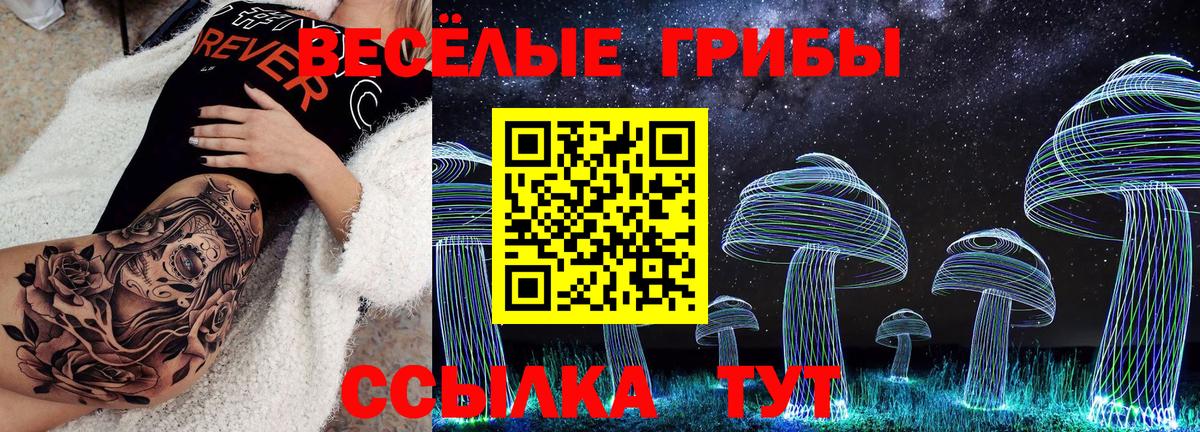 Псилоцибиновые грибы Psilocybe  Вход с VPN  Богданович  Галлюциногенные грибы Psilocybe 