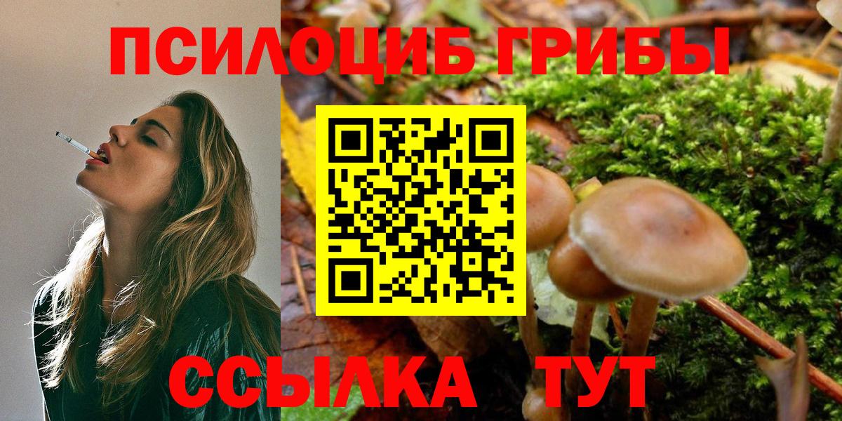 Псилоцибиновые грибы ЛСД  Богданович 