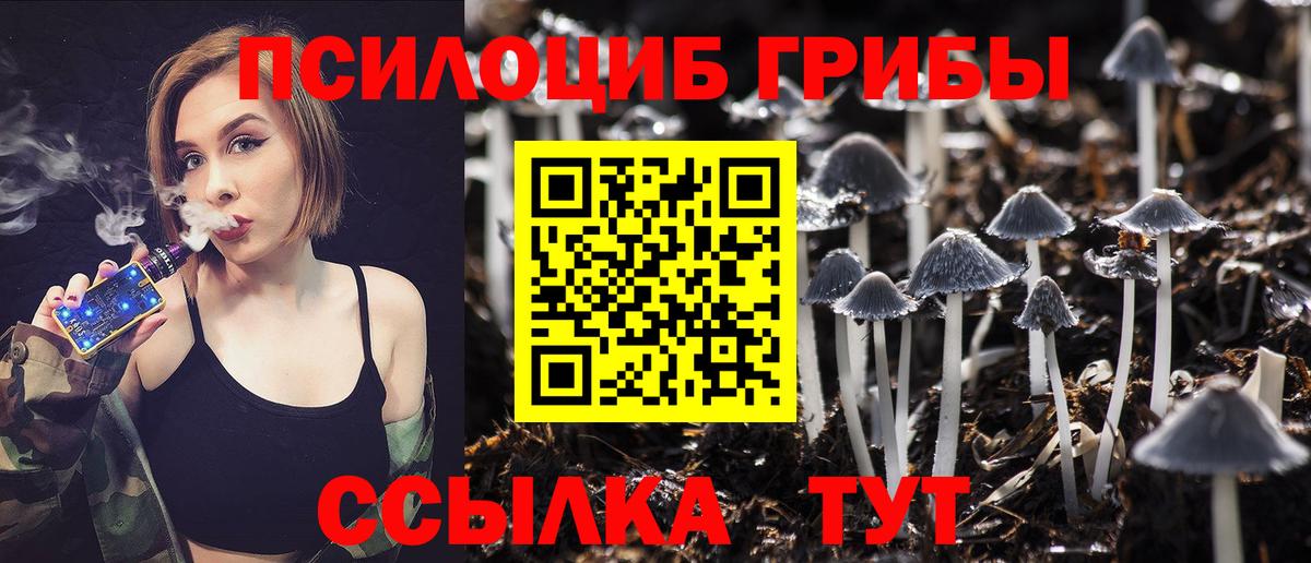 Псилоцибиновые грибы Psilocybe Богданович