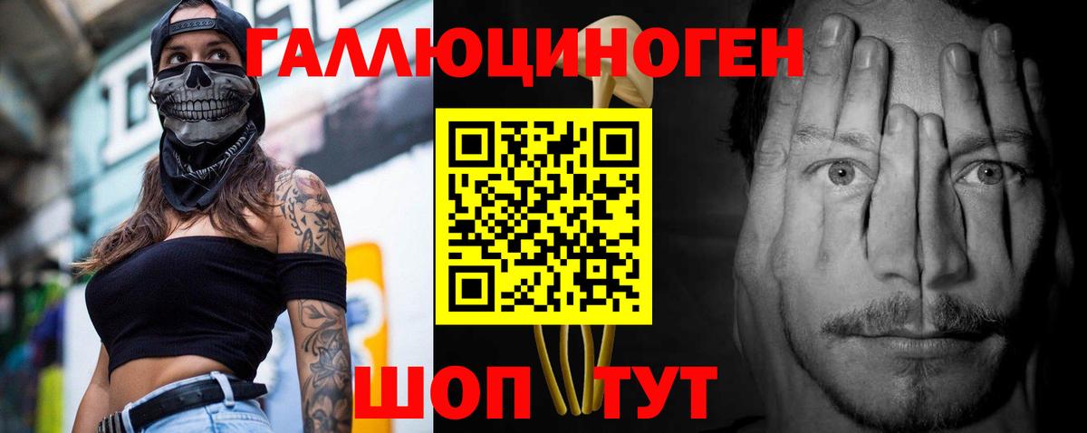 Псилоцибиновые грибы ЛСД Богданович