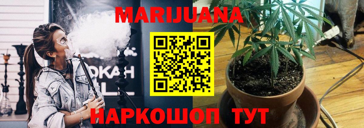 Бошки Шишки VHQ Богданович